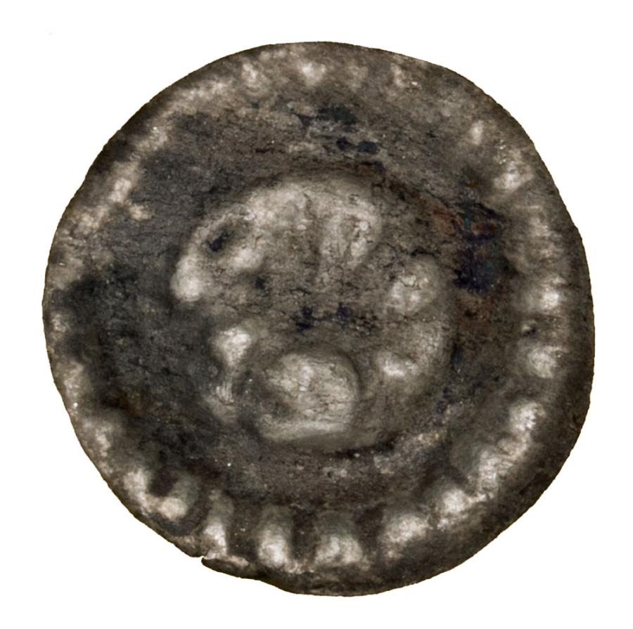 Brakteat 1233-1269 Gryf Sambor II Pomorze Gdańskie